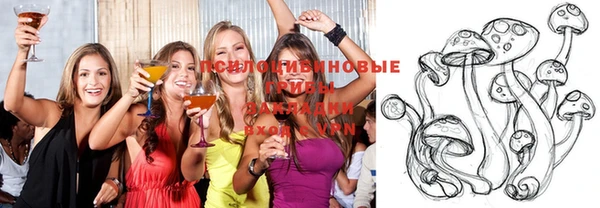 гидра Баксан
