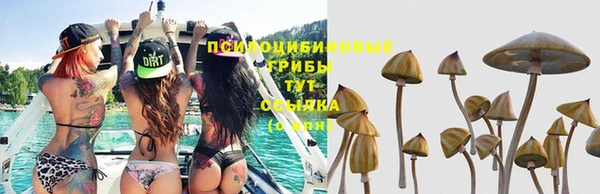 гидра Баксан