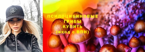 гидра Баксан